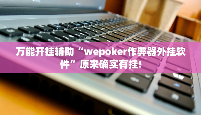 三分钟科普德州局wepoker作弊透视挂(透视)详细教程
