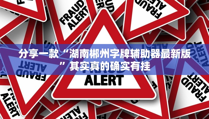 分享一款“湖南郴州字牌辅助器最新版”其实真的确实有挂