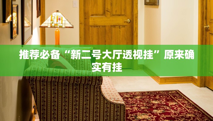 辅助神器德扑之星有挂吗(透视)详细教程