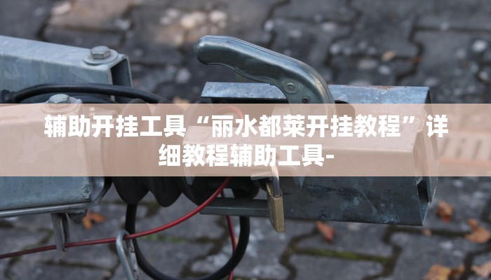 辅助开挂工具“丽水都莱开挂教程”详细教程辅助工具-