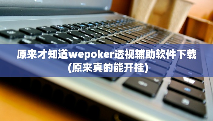 原来才知道wepoker透视辅助软件下载 (原来真的能开挂)