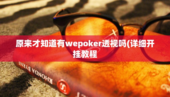 原来才知道有wepoker透视吗(详细开挂教程