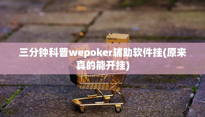 三分钟科普wepoker辅助软件挂(原来真的能开挂)