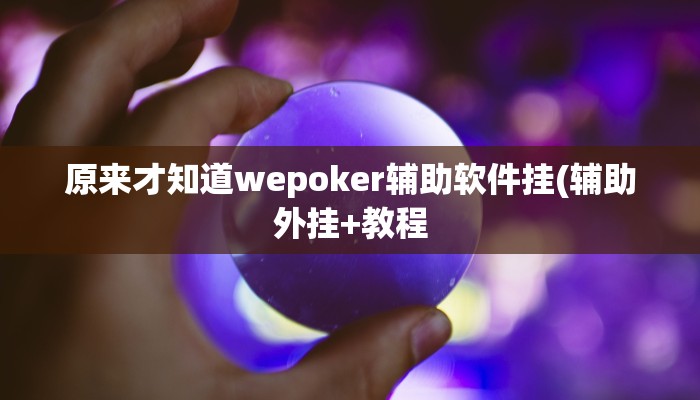 原来才知道wepoker辅助软件挂(辅助外挂+教程