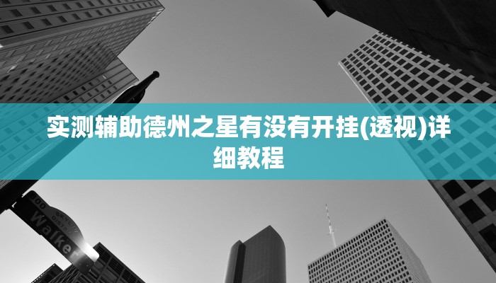实测辅助德州之星有没有开挂(透视)详细教程
