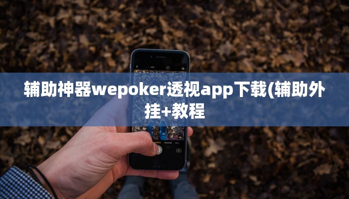 原来才知道wepoker真的有透视挂么(作弊)”附开挂脚本详细教学