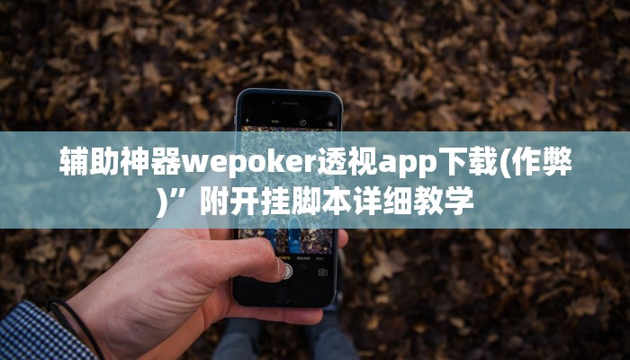 实测辅助wepoker德州可以透视吗(作弊)”附开挂脚本详细教学