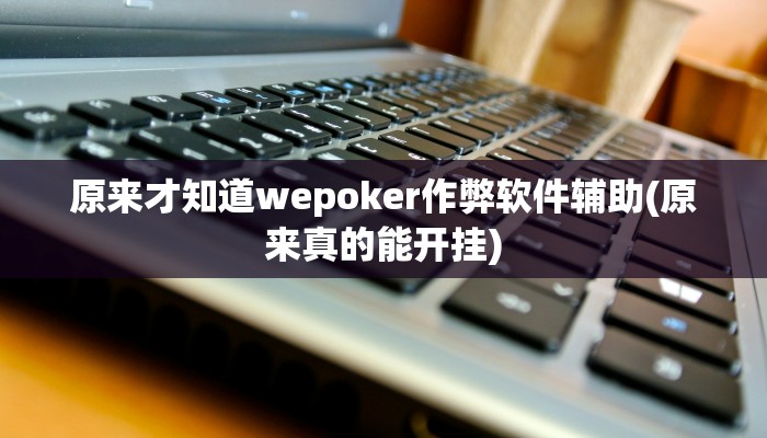 原来才知道wepoker作弊软件辅助(原来真的能开挂)