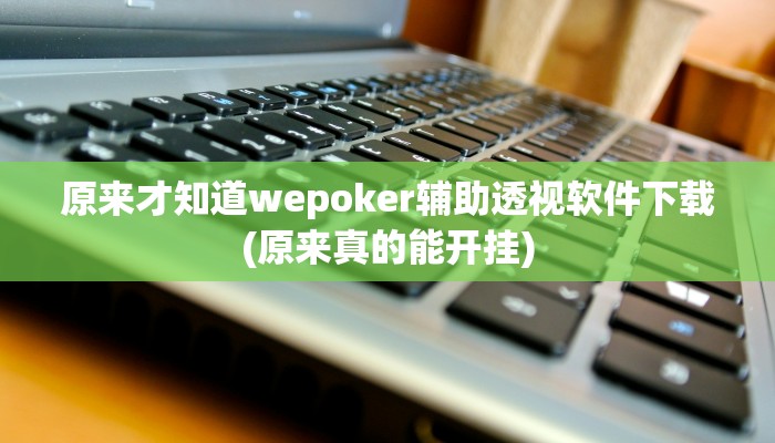 原来才知道wepoker辅助透视软件下载(原来真的能开挂)