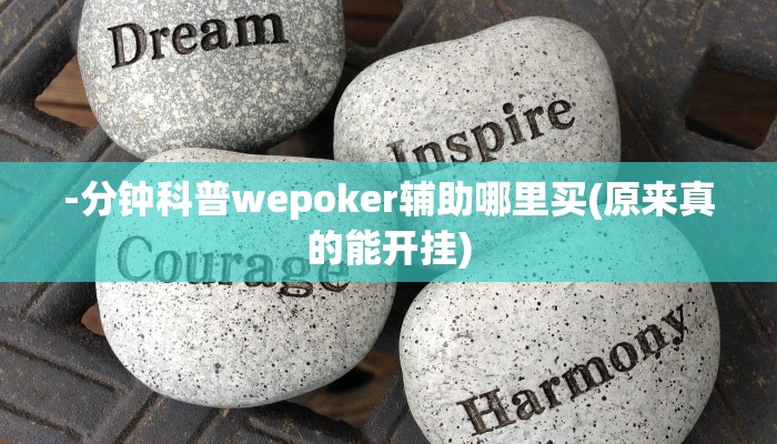 三分钟科普wepoker透视破解版(原来真的能开挂)