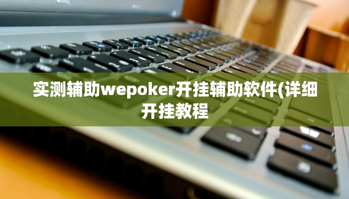 原来才知道德州局wepoker透视挂(详细开挂教程