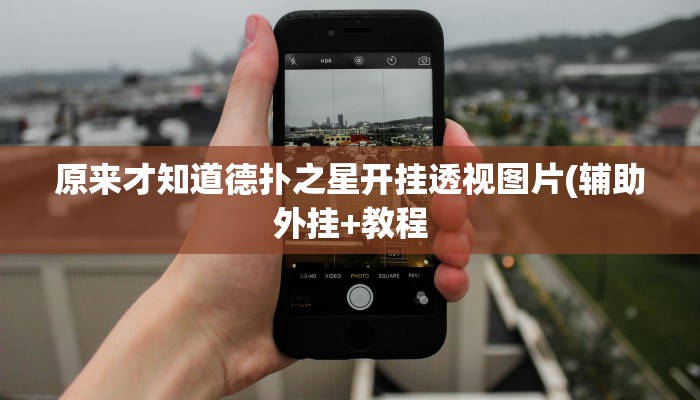 原来才知道德扑之星开挂透视图片(辅助外挂+教程