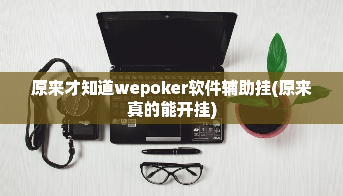 原来才知道wepoker软件辅助挂(原来真的能开挂)