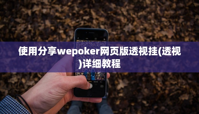 三分钟科普有wepoker透视吗(作弊)”附开挂脚本详细教学
