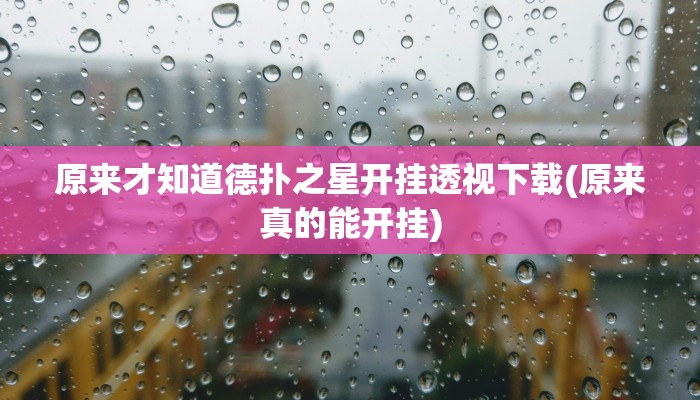 原来才知道德扑之星开挂透视下载(原来真的能开挂)
