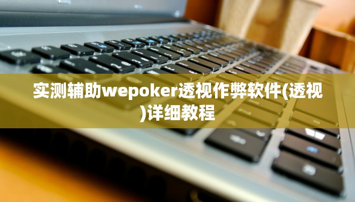实测辅助wepoker透视作弊软件(透视)详细教程