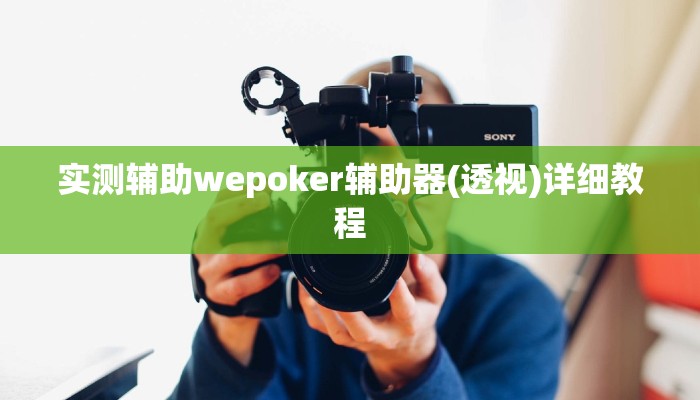 实测辅助wepoker辅助器(透视)详细教程