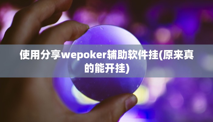 使用分享wepoker德州辅助软件(原来真的能开挂)