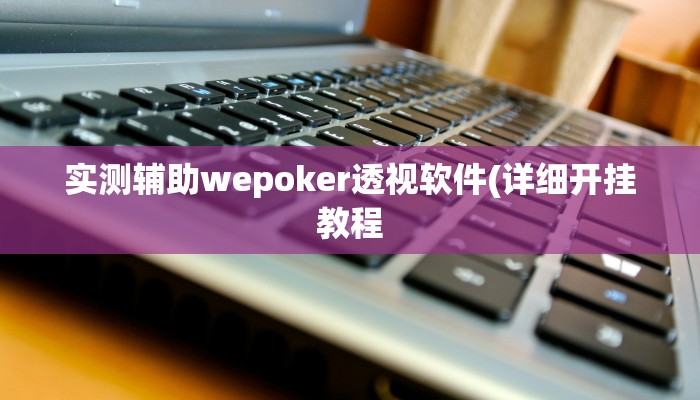 实测辅助wepoker透视软件(详细开挂教程