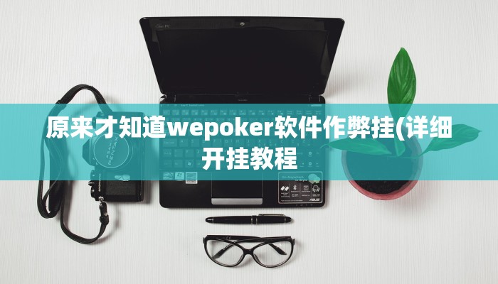 原来才知道wepoker作弊挂(透视)功能”学会包赢