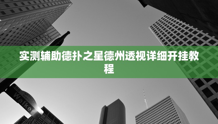 实测辅助德扑之星德州透视详细开挂教程