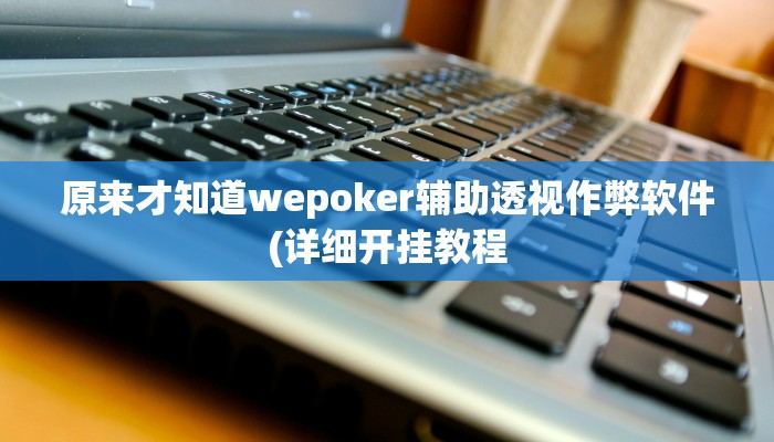 原来才知道wepoker辅助透视作弊软件(详细开挂教程