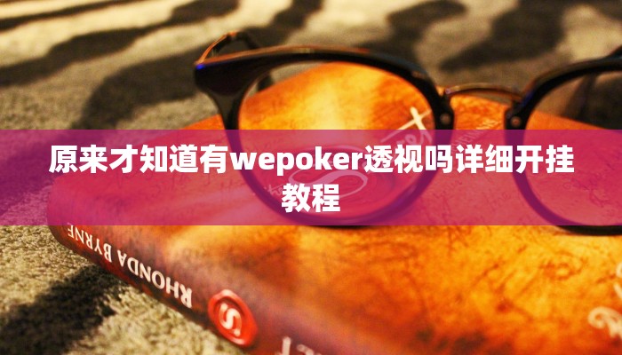 原来才知道wepoker透视破解版详细开挂教程
