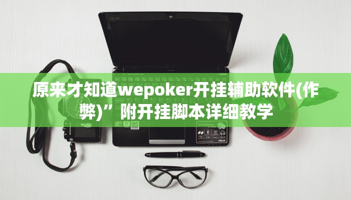 原来才知道wepoker开挂辅助软件(作弊)”附开挂脚本详细教学