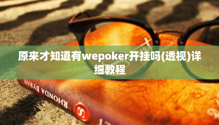 原来才知道有wepoker开挂吗(透视)详细教程