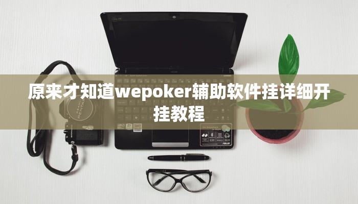 原来才知道wepoker辅助软件挂详细开挂教程
