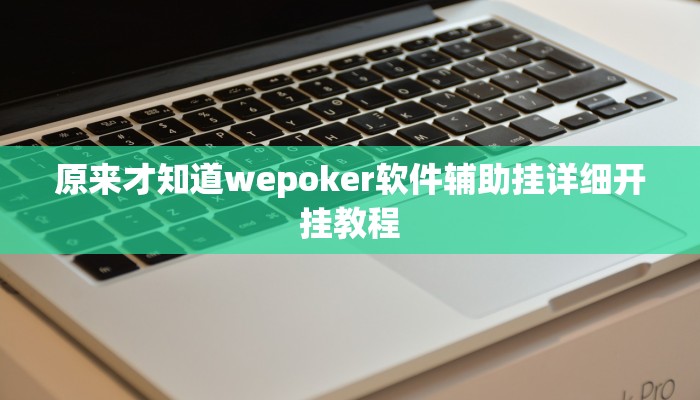 原来才知道wepoker软件辅助挂详细开挂教程