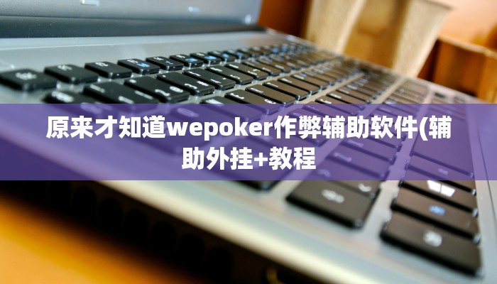 原来才知道wepoker作弊辅助软件(辅助外挂+教程