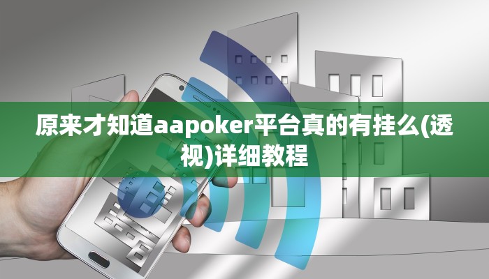 原来才知道aapoker平台真的有挂么(透视)详细教程