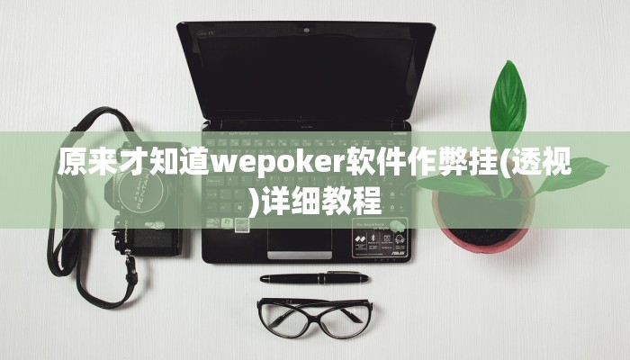 原来才知道wepoker软件作弊挂(透视)详细教程
