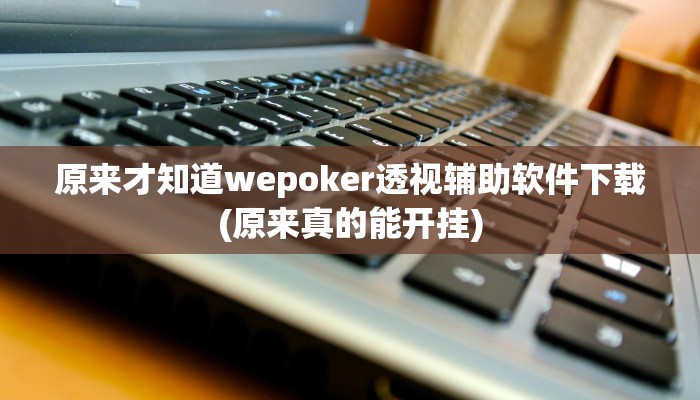 原来才知道wepoker透视辅助软件下载(原来真的能开挂)