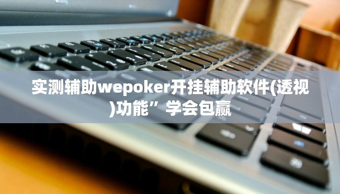 实测辅助wepoker开挂辅助软件(透视)功能”学会包赢