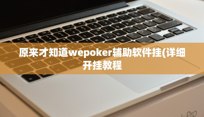 原来才知道wepoker辅助软件挂(详细开挂教程