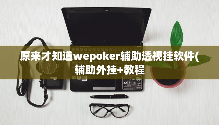 原来才知道wepoker辅助透视挂软件(辅助外挂+教程