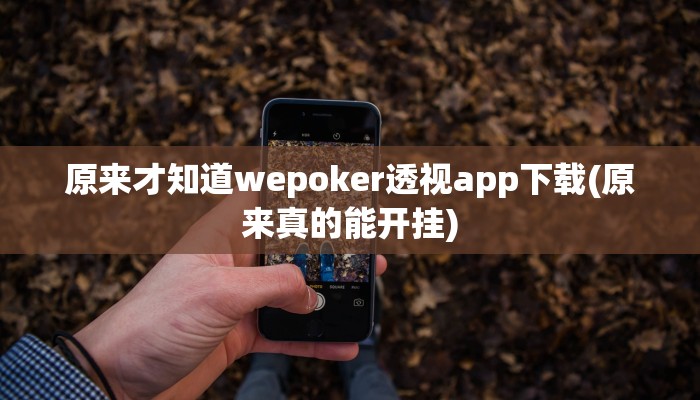 原来才知道wepoker透视app下载(原来真的能开挂)