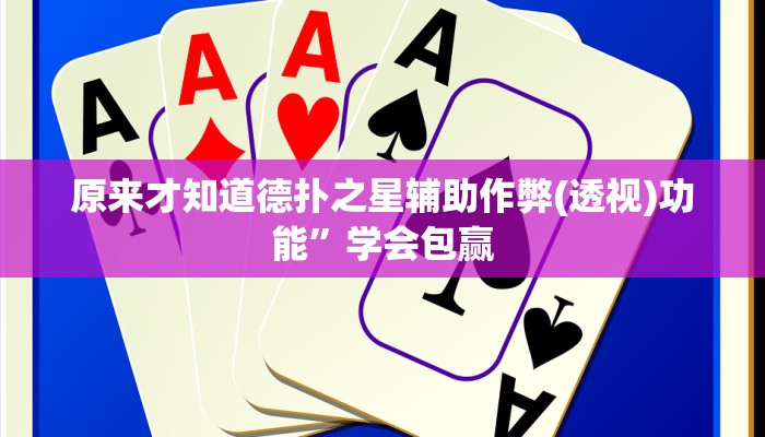 辅助神器“東武野産辅助开挂软件”其实确实有挂