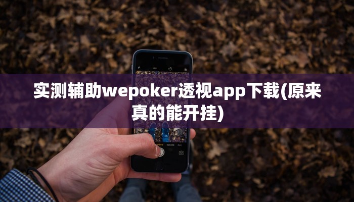 实测辅助wepoker透视app下载(原来真的能开挂)