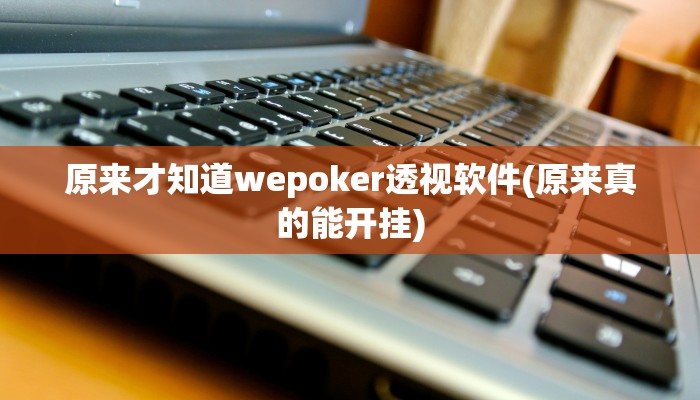 原来才知道wepoker透视软件(原来真的能开挂)