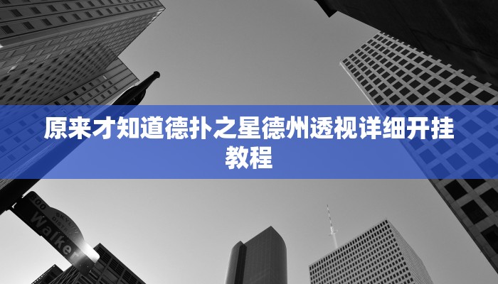 原来才知道德扑之星德州透视详细开挂教程