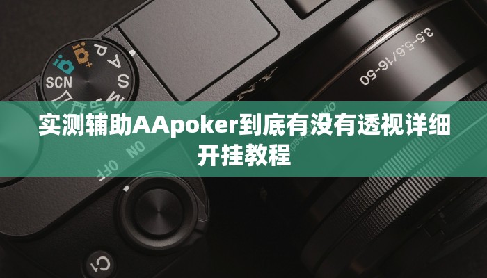 使用分享wepoker真能买到挂吗(透视)详细教程