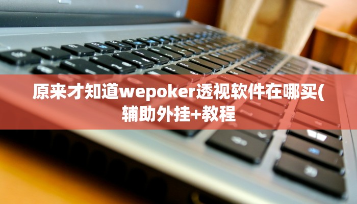 原来才知道wepoker透视软件在哪买(辅助外挂+教程