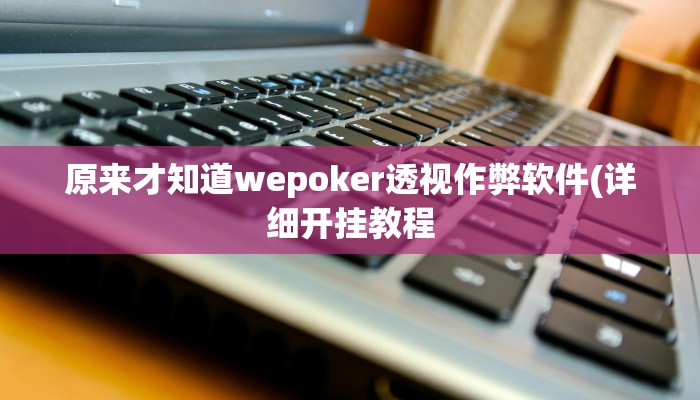 原来才知道wepoker透视作弊软件(详细开挂教程