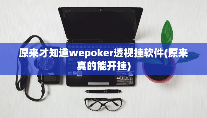 原来才知道wepoker透视挂软件(原来真的能开挂)