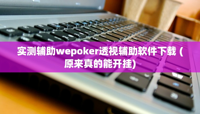 实测辅助wepoker透视辅助软件下载 (原来真的能开挂)