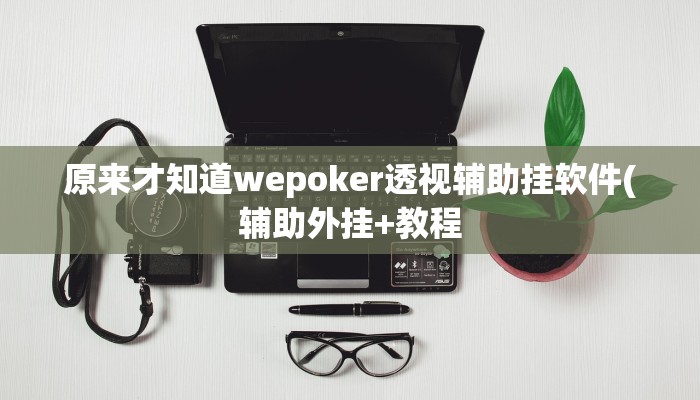 开挂技巧“wepoker俱乐部作弊透视”详细外挂安装步骤 
