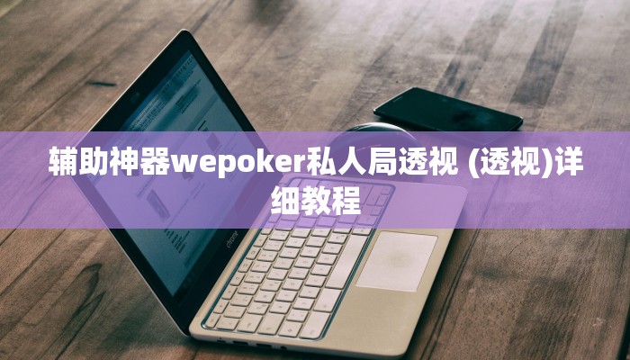 辅助神器wepoker私人局透视 (透视)详细教程